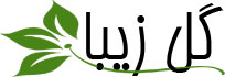 گلفروشی اینترنتی سجاد حسنی گلفروشی اینترنتی سجاد حسنی