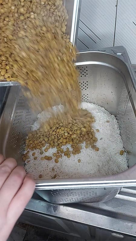 طرز تهیه عدس پلو مجلسی با مرغ
