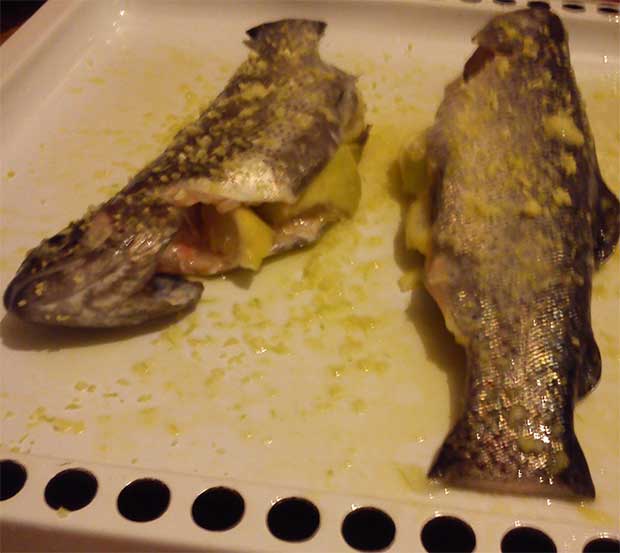 پخت ماهی شوریده در فر