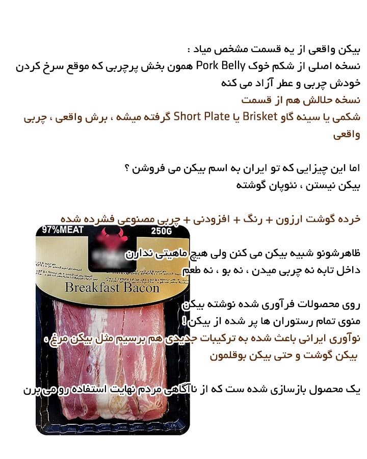 بیکن واقعی