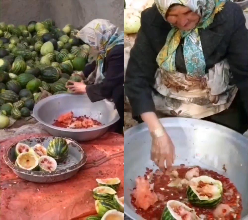 تخمه ژاپنی یا جابونی یا جابانی