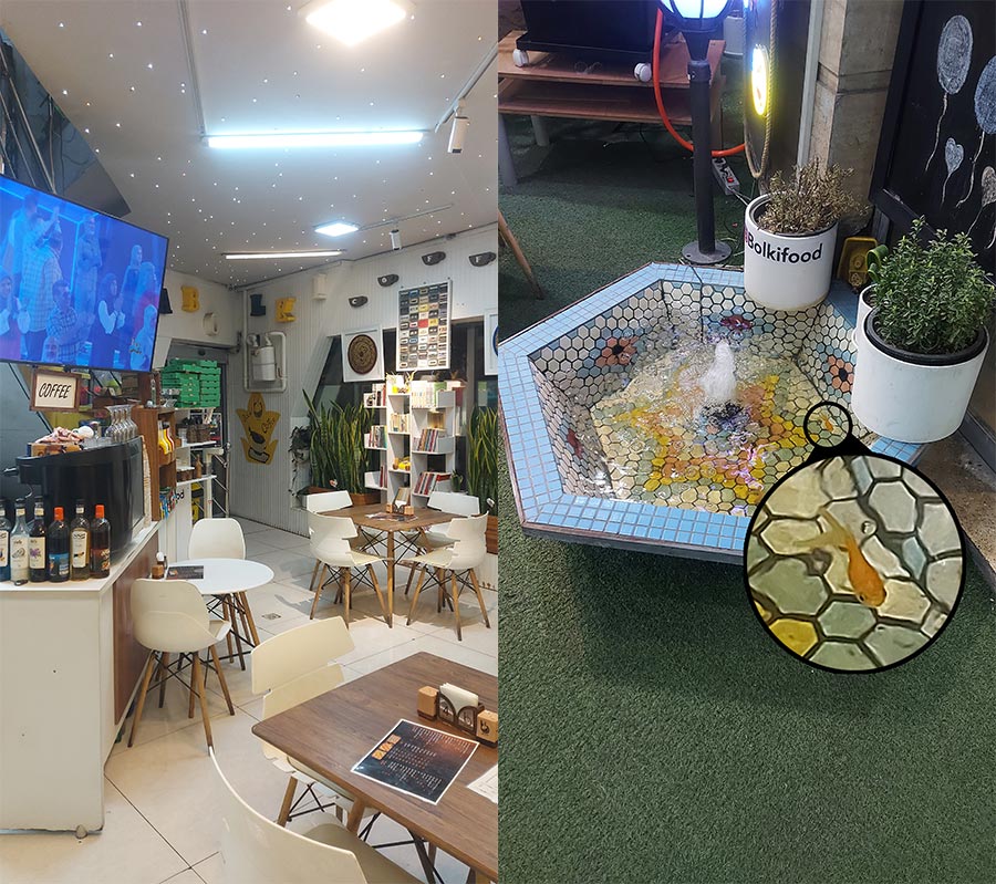 فست فود بولکی اکسپرس