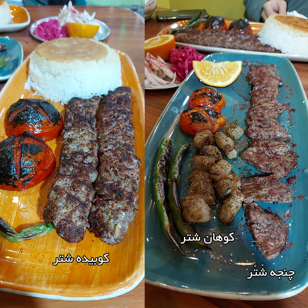 کبابی نوبری با گوشت شتر و کوهان شتری در ولیعصر تهران